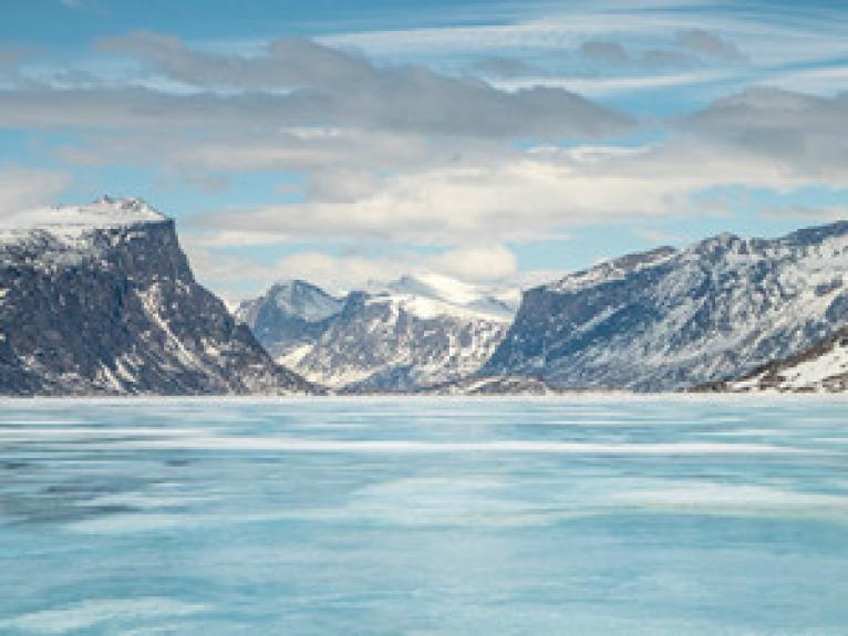 Polar Bear Adventures