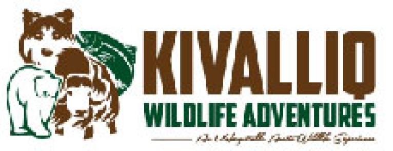 Kivalliq Wildlife Adventures Inc.