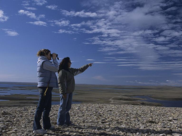 Go Cargo Taxi & All-Wheel Rentals