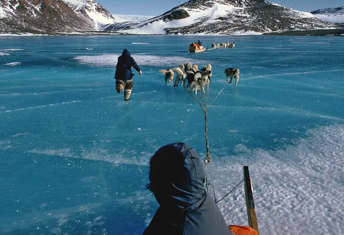 Dog Sled Ride Destination Nunavut